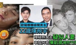 记者爆料陈飞宇事件视频,记者爆料背后真相揭秘